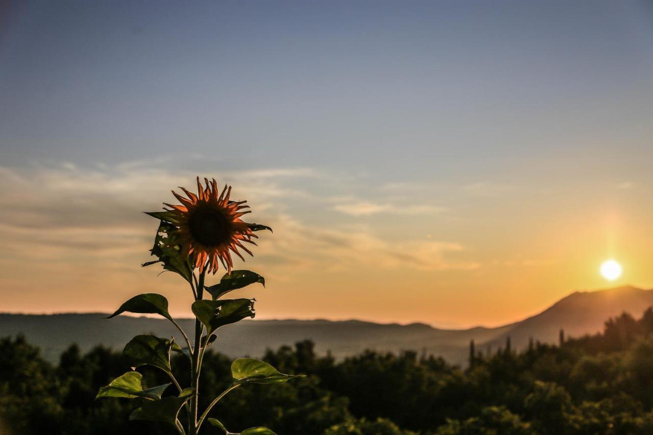 Rural Accommodation Veselic Pridvorje ภายนอก รูปภาพ